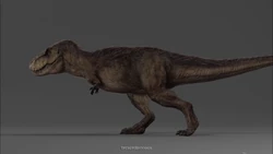 Vlcsnap-2024-02-04-16h35m34s427