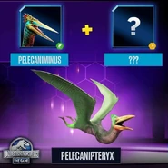 14141767 175084132920294 720135558080917186 n.jpg (37 KB)