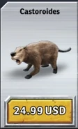Castoroides.jpg (14 kB)