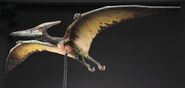 Pteranodonmodeljp3