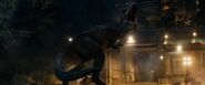 Rexy VS