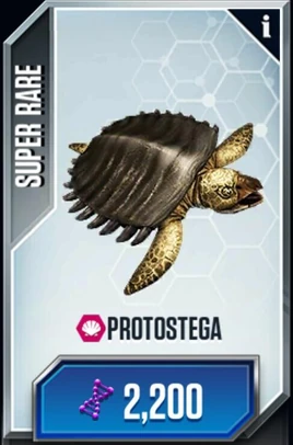プロトステガ top