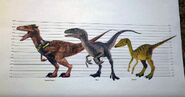 Jurassic-Live-Tour-Raptor-Troodon-Size-Chart