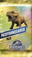 Pachyrhinosaurus Card Pack