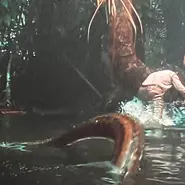 Anguille sans nom (début)