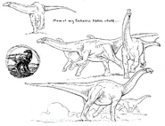 Apatosaurus