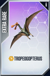 Tropeogopterus