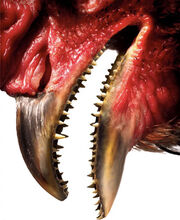 Chicken teeth.jpg