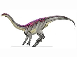 Massospondylus