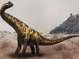 Titanotarkus