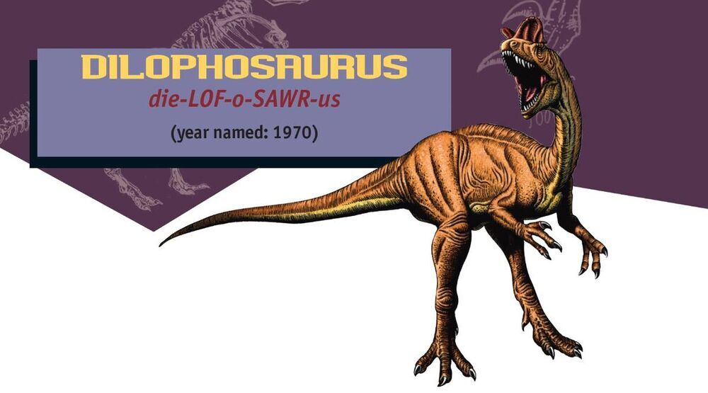 ディロフォサウルス ジュラシック パーク Wiki Fandom
