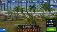 Level 20