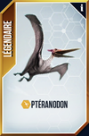 Pteranodon (The Game).png