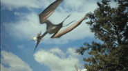 Battle-at-Big-Rock-pteranodon