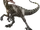 Velociraptor