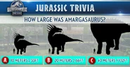 26731488 1582254885215074 5275496854850138212 n.png (543 KB)
