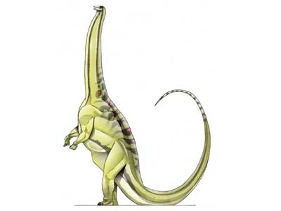 Brontosaurus | Jurassic Park Wiki | Fandom