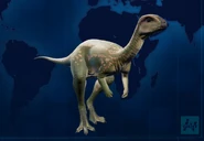 Dryo jwe.jpg (80 kB)