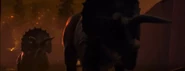 Triceratops CT1.jpg (276 KB)