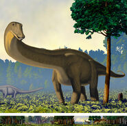 Apatosaurus walters 450