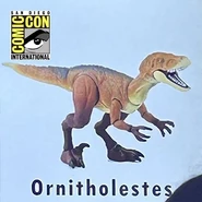 Ornitholestes
