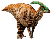 Parasaurolophus-info-graphic