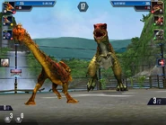 11222515 741784919283172 7485695596163189112 n.jpg (89 KB) Level 29 Allosaur vs Level 40 Guanlong.