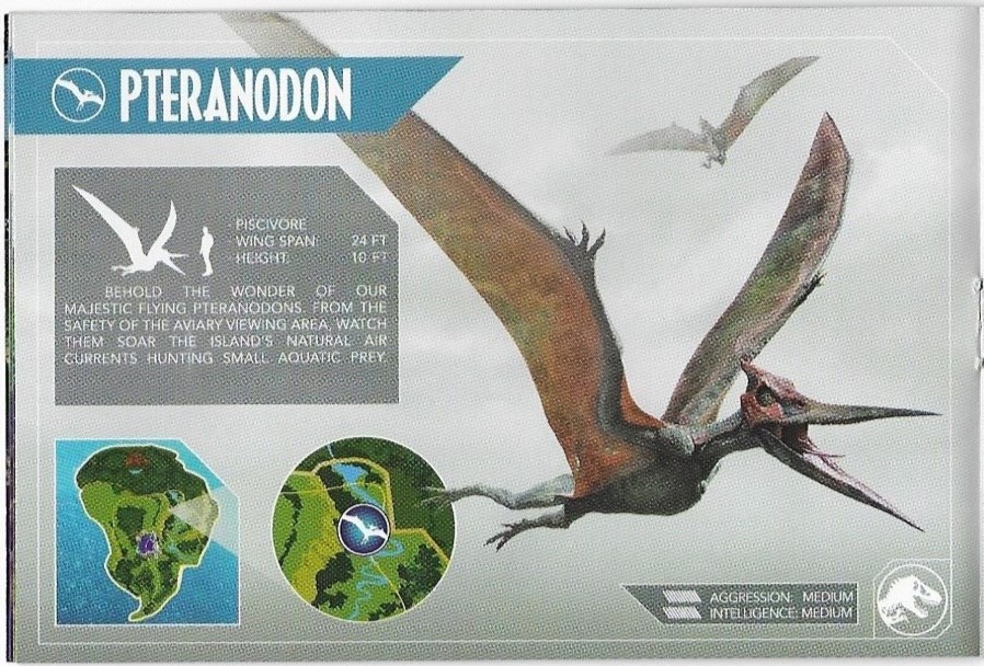 Pteranodon (The Lost World, Jurassic Park 3, Jurassic World)