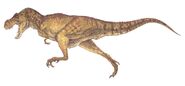 T-rex female