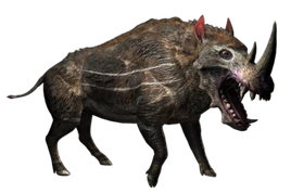 JWA PressKit Keratoporcus