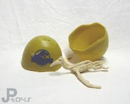 Ptera3 (1).jpg (161 kB)