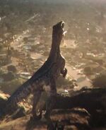 Blue fk.jpg (25 KB) Blue