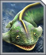 Diplocaulus card