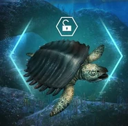 Protostega-0.jpg (48 kB)