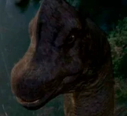 Brachiosaurus (debut)