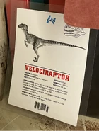 Профильраптора.png (2,59 МБ) Профайл Велоцираптора