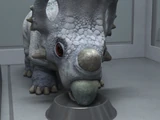 Category:Hybrids | Jurassic Park Wiki | Fandom