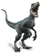 Fallen kingdom blue the velociraptor by sonichedgehog2-dc80trd.png (142 KB) Blue