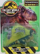 *Young Pachycephalosaurus