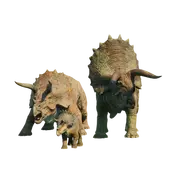 Triceratops jwe3 database.webp (32 KB)