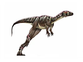 Agilisaurus