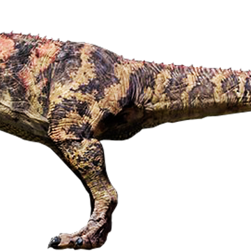 Ceratosaurus Jurassic Park Wiki Fandom - Pachycephalosaurus ausmalbild