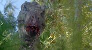 The second bull Tyrannosaurus in Jurassic Park III.