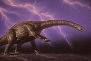 Apatosaurus (31)