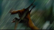 Dimorphodon Divebombing