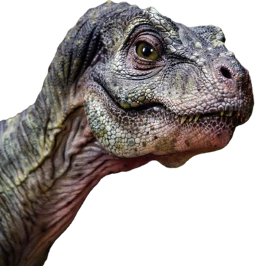 T.Rex◇紙ジャケ 5CD + Box + 帯2点◇ティラノザウルス レックス