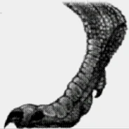 Procompsega2.png (207 KB) Ditto.