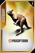 Procoptodon Card.png (78 KB)