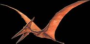 Pteranodon joe