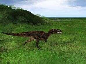 Albertosaurus